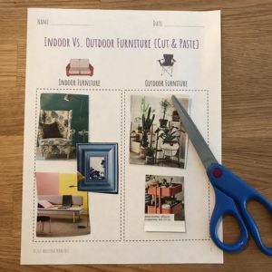Magazine & Store Ad {Cut & Paste} Sorting Comparison Activities - Life Skills Categories with Real Visual Images. Includes 30 sorting worksheets.