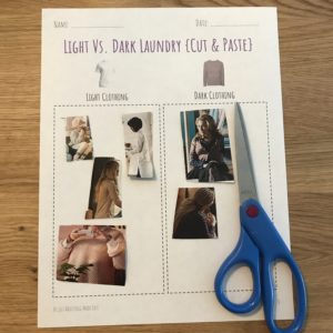 Magazine & Store Ad {Cut & Paste} Sorting Comparison Activities - Life Skills Categories with Real Visual Images. Includes 30 sorting worksheets.