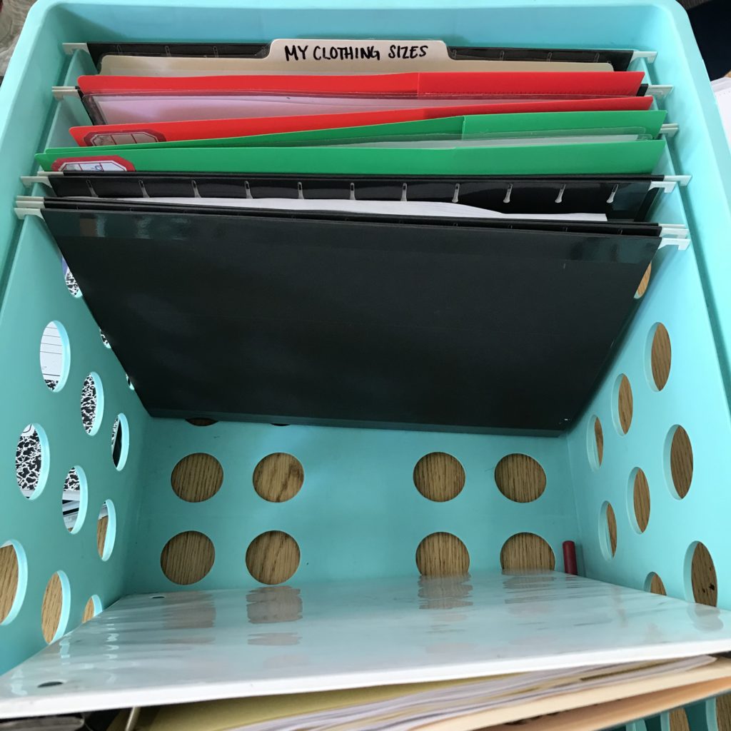 Blog: How I Manage to to work on different levels of IEP goals and data collection on a regular basis. IEP Bins.