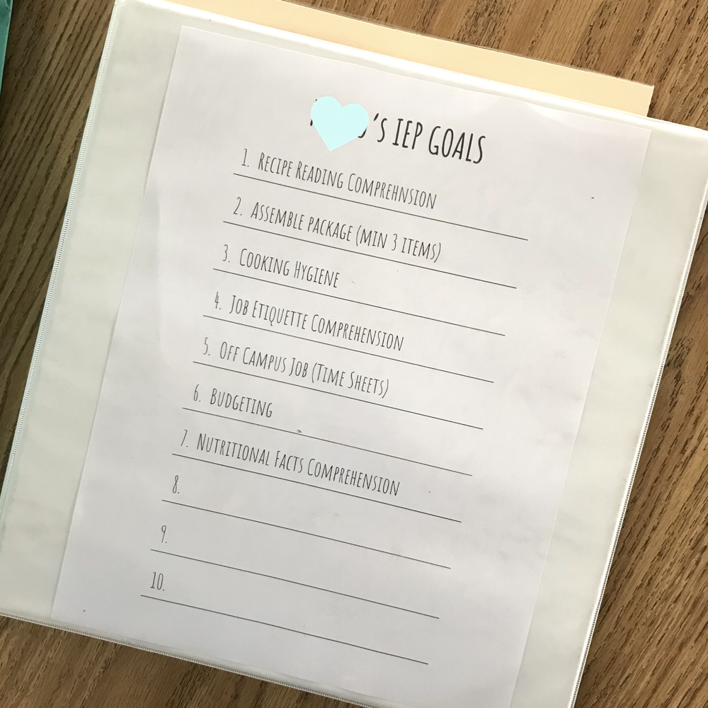 Blog: How I Manage to to work on different levels of IEP goals and data collection on a regular basis. IEP Bins.