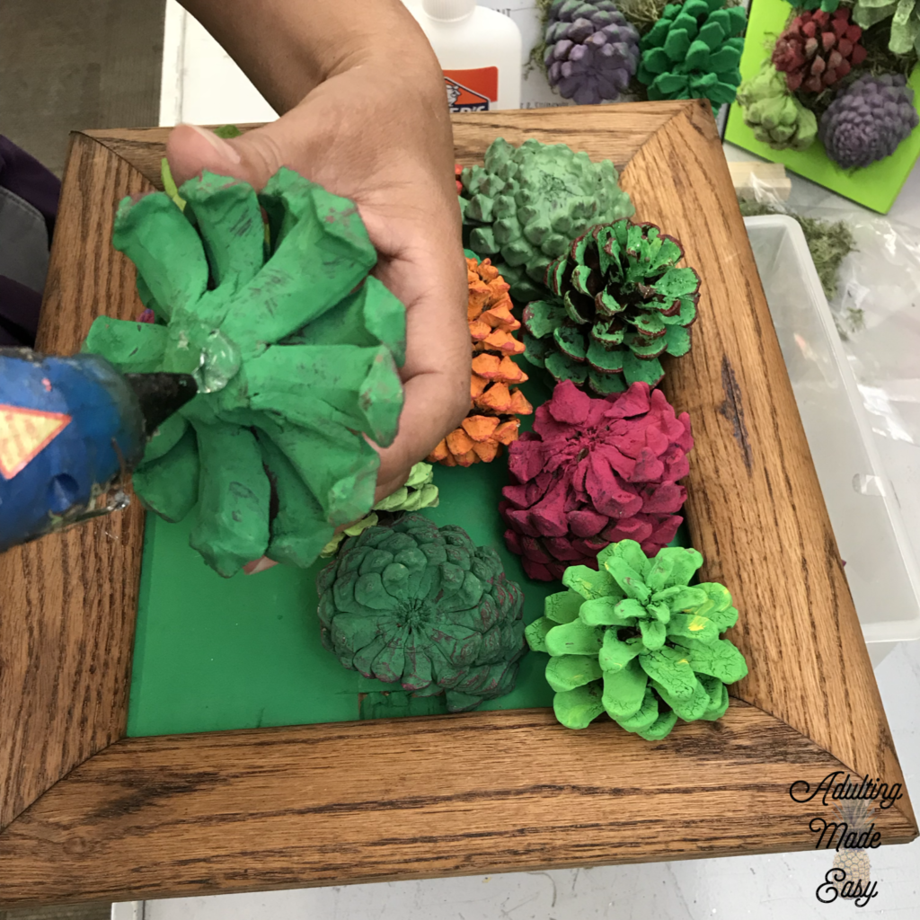 Pinecone succulent garden art project - age appropriate craft for older sped students!
