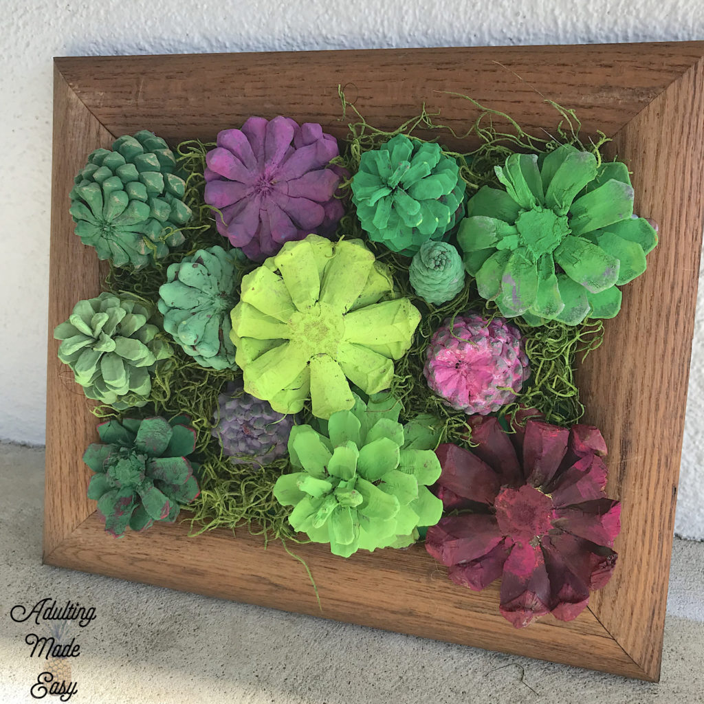 Pinecone succulent garden art project - age appropriate craft for older sped students!