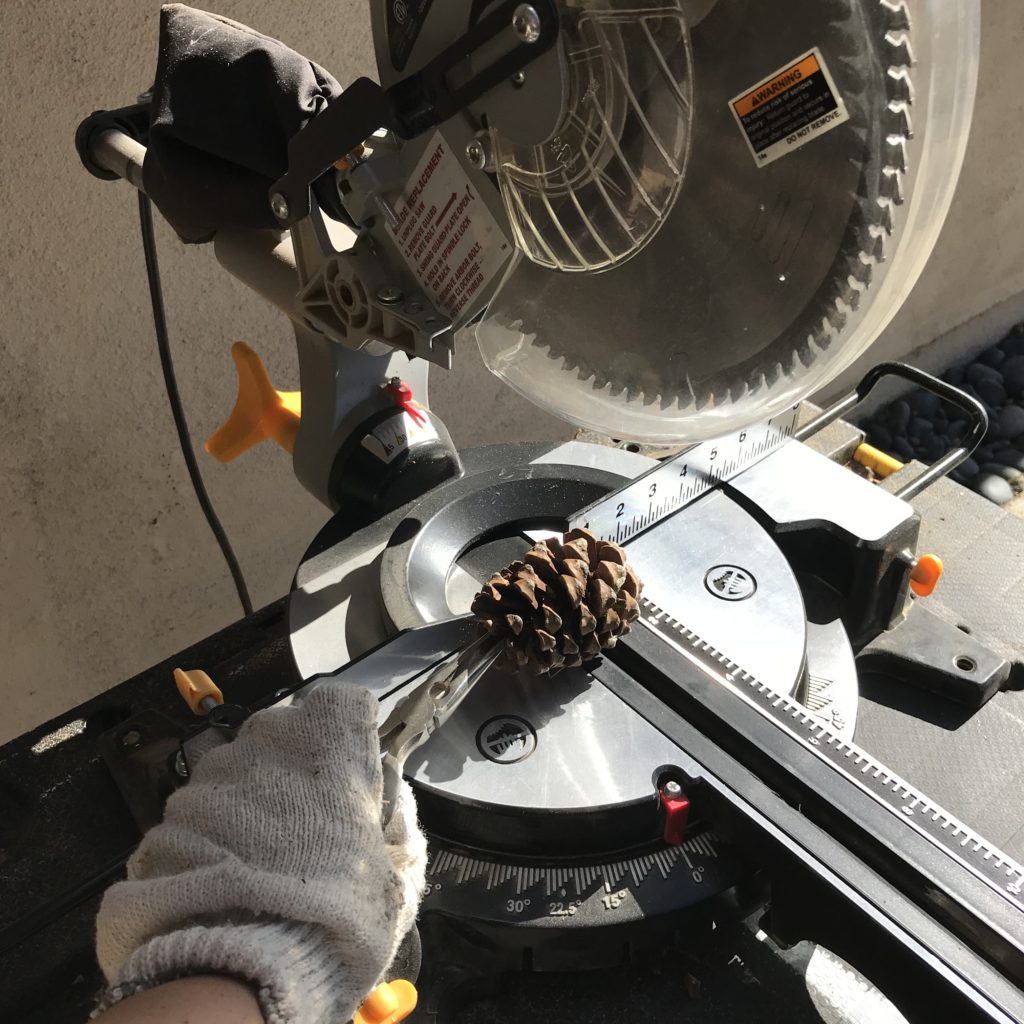Pinecone succulent garden art project - age appropriate craft for older sped students!
