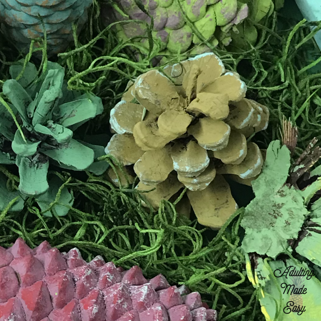 Pinecone succulent garden art project - age appropriate craft for older sped students!