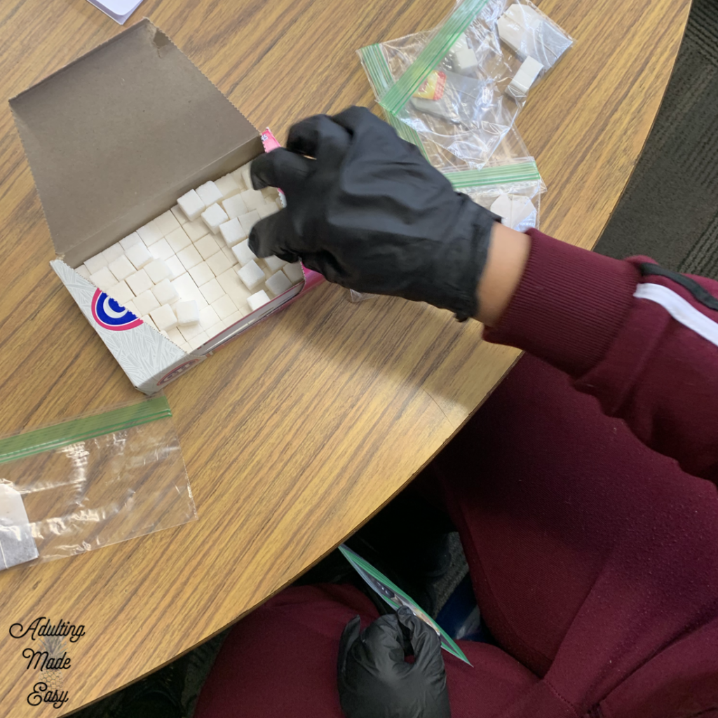 Vocational tasks at school