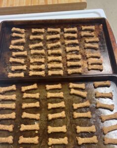 BLOG: Special Education Student Business Dog Treats