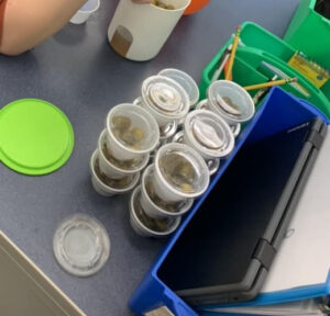 BLOG: Classroom Student Business for special education: Charcuterie lunch boxes
