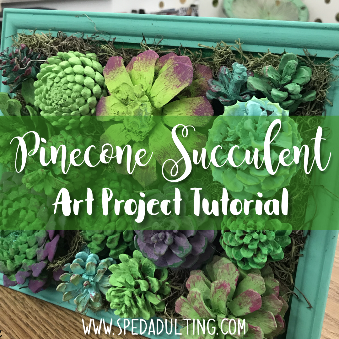 Pinecone succulent garden art project - age appropriate craft for older sped students!