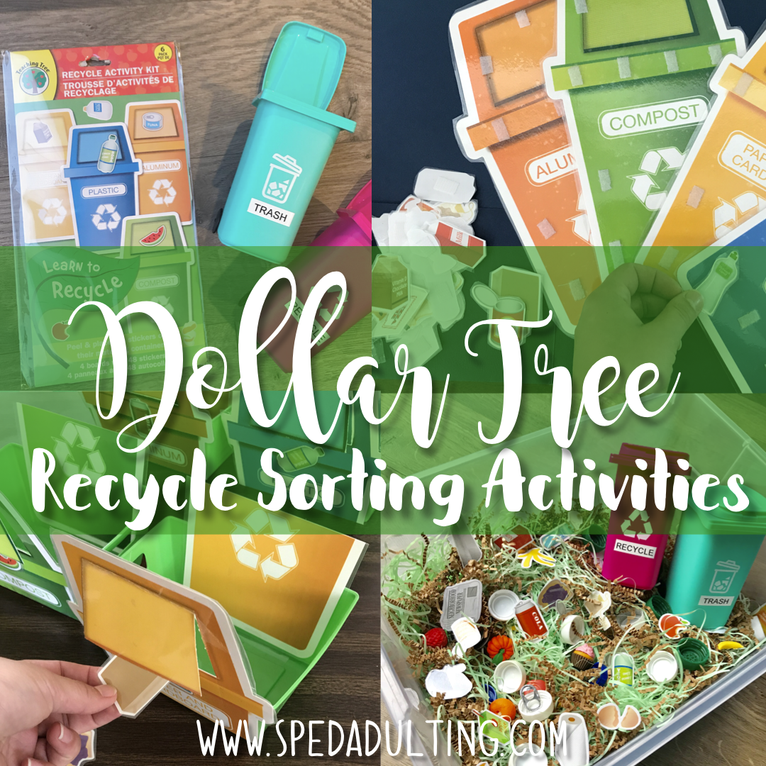 Dollar Tree Recycle Sorting Activity Kit turned into Work Task Bin.