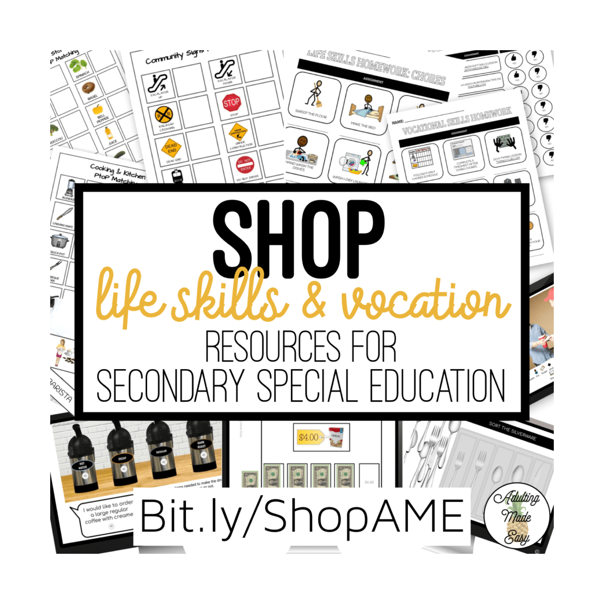 Shop Vocational & Life Skills resources for secondary special education