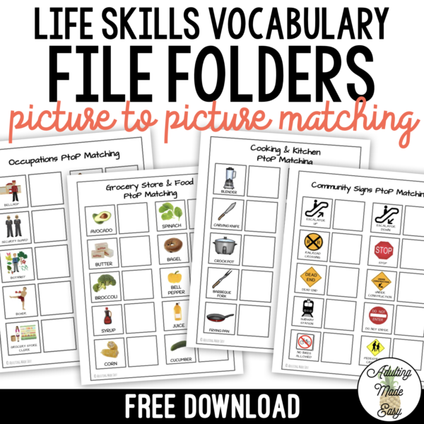 FREE Life Skills Vocabulary File Folders