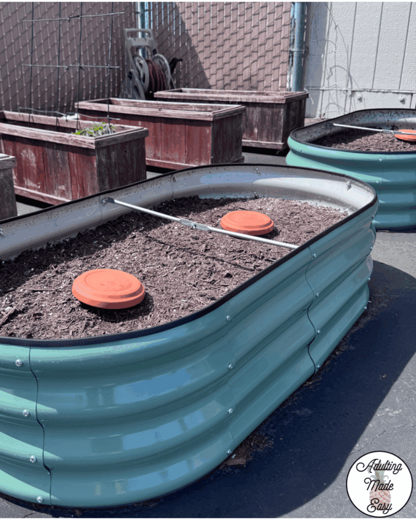 A raised bed garden outside of a classroom.