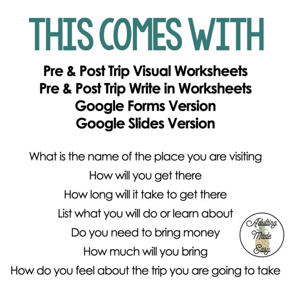 Community Outing CBI Visual Reflection Worksheets