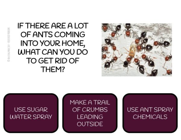 Common Household Problems Digital Task Cards - Image 3