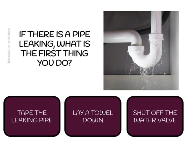 Common Household Problems Digital Task Cards - Image 2