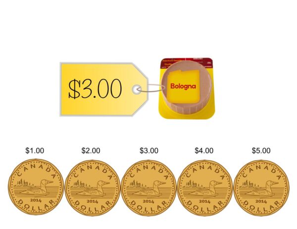 CANADIAN How Much Does It Cost? Digital Task Cards - Image 2
