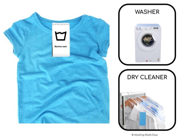 Wash or Dry Clean Digital Task Cards - Image 2