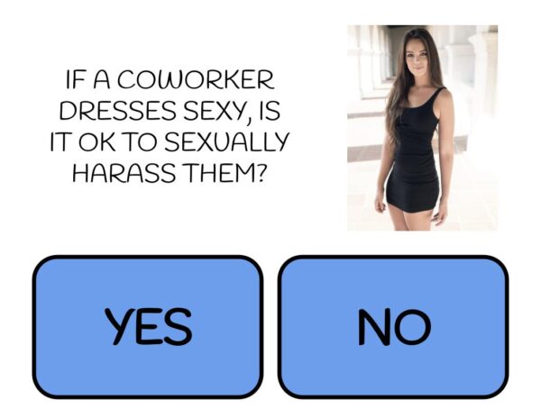 Workplace Sexual Harassment Digital Activity - Image 2