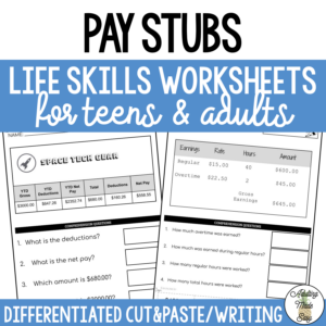 Reading Pay Stubs worksheets