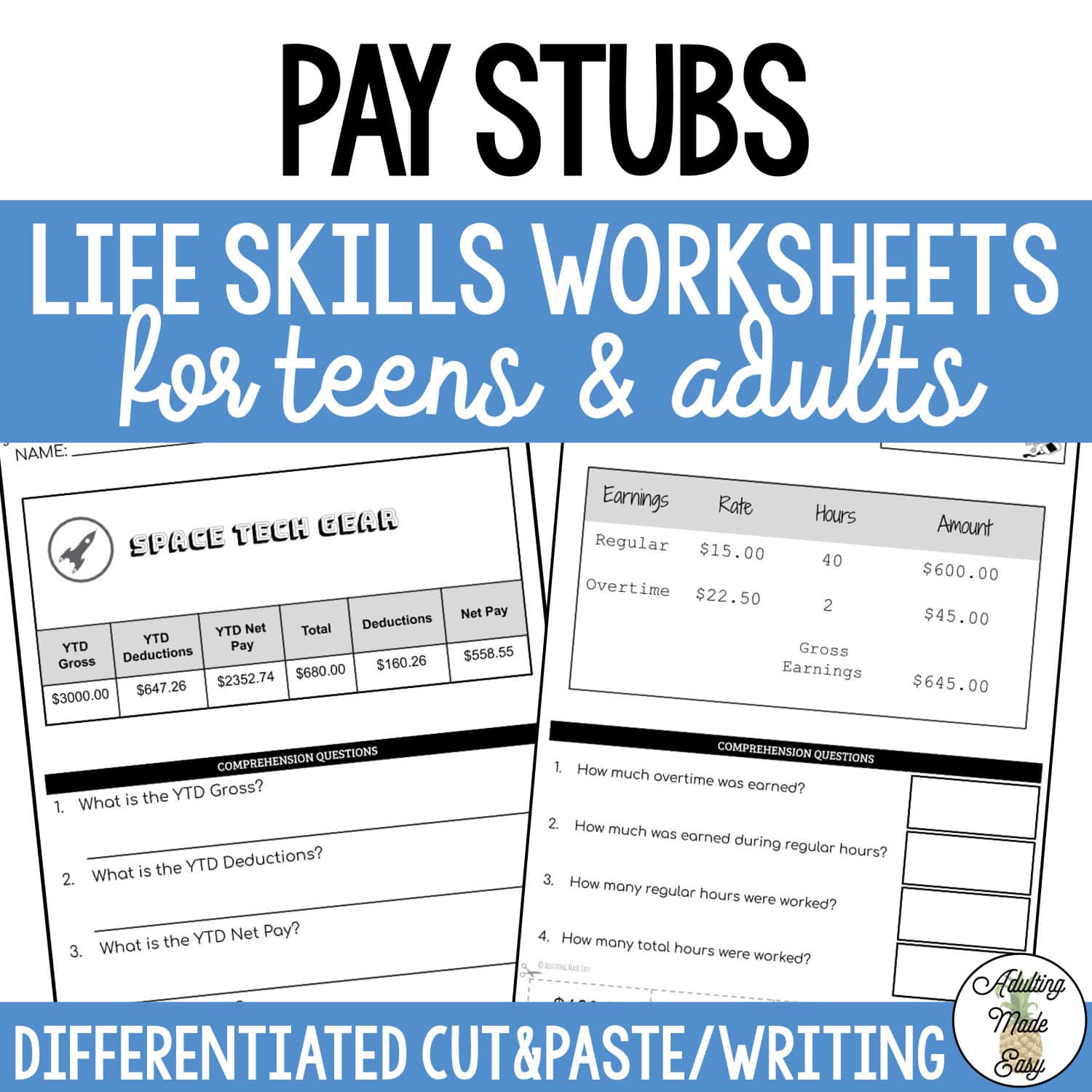 Reading Pay Stubs Worksheets