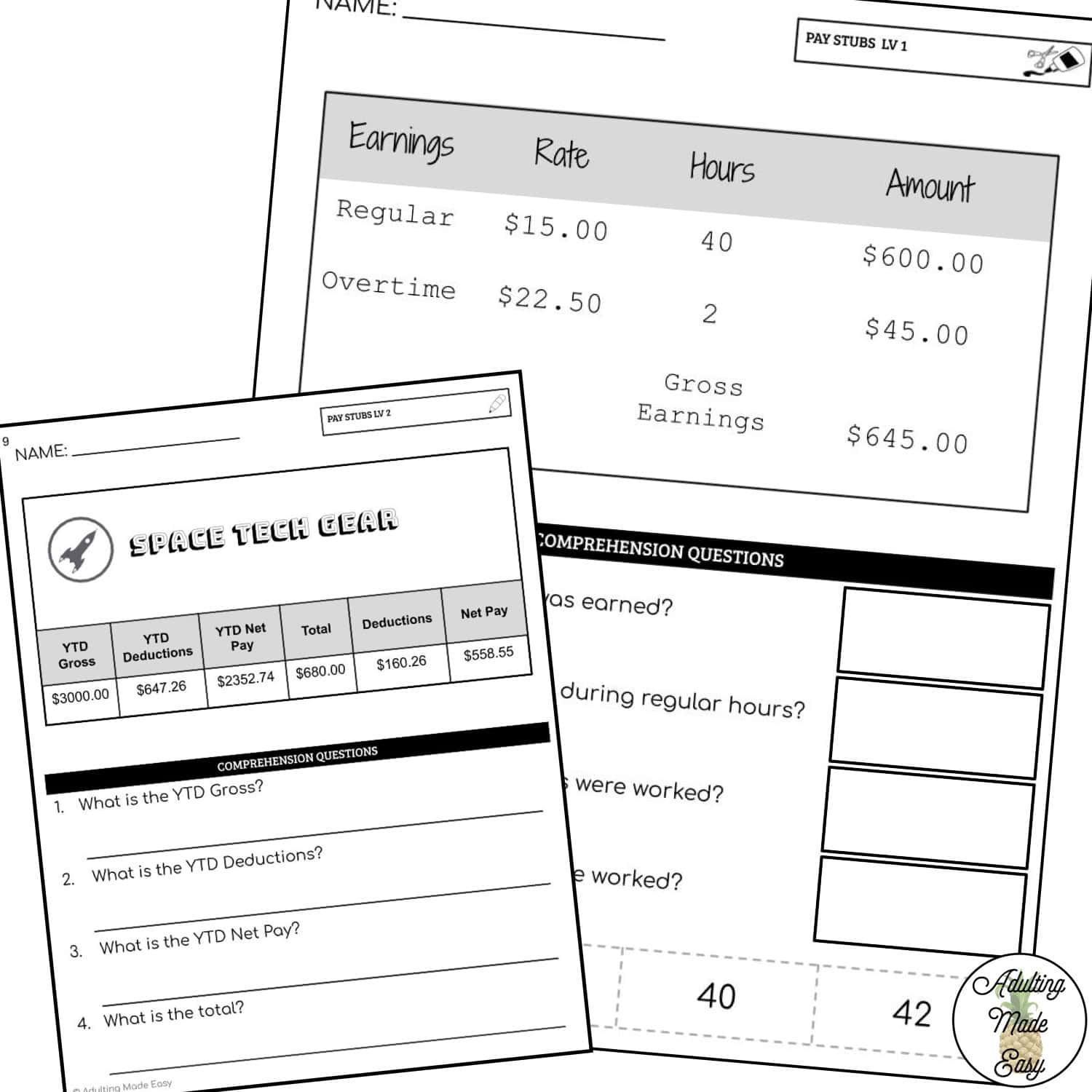 Reading Pay Stubs Worksheets