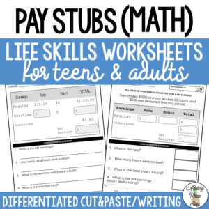 Reading Pay Stubs (Math) Worksheets