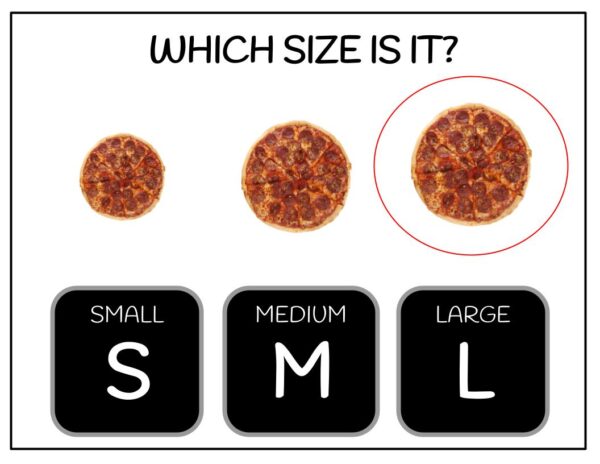 Sizes - Small Medium Large Digital Task Cards - Image 3