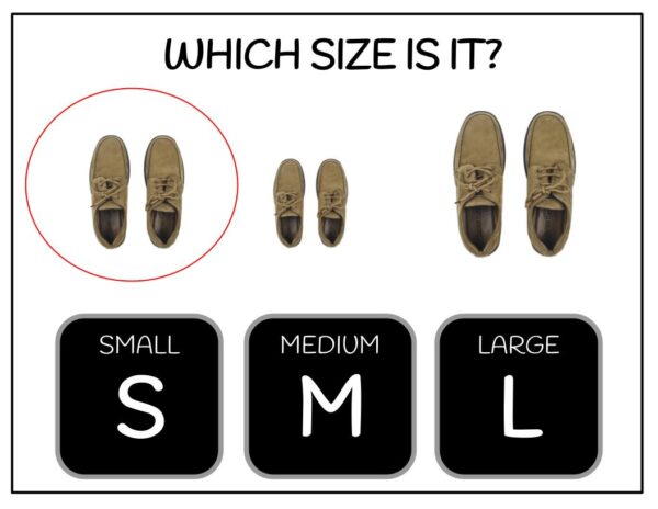 Sizes - Small Medium Large Digital Task Cards - Image 2