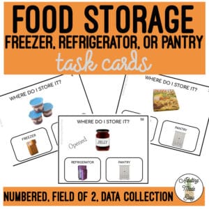 Food Storage Field of 2 Task Cards