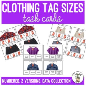 Clothing Tag Sizes Task Cards
