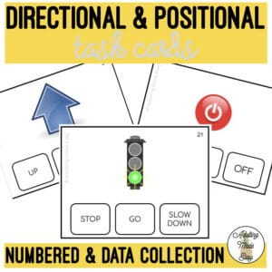 Directional & Positional Task Cards