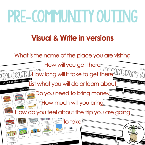 Community Outing CBI Visual Reflection Worksheets - Image 2