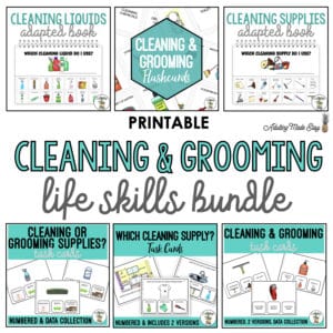 Cleaning and Grooming Life Skills BUNDLE