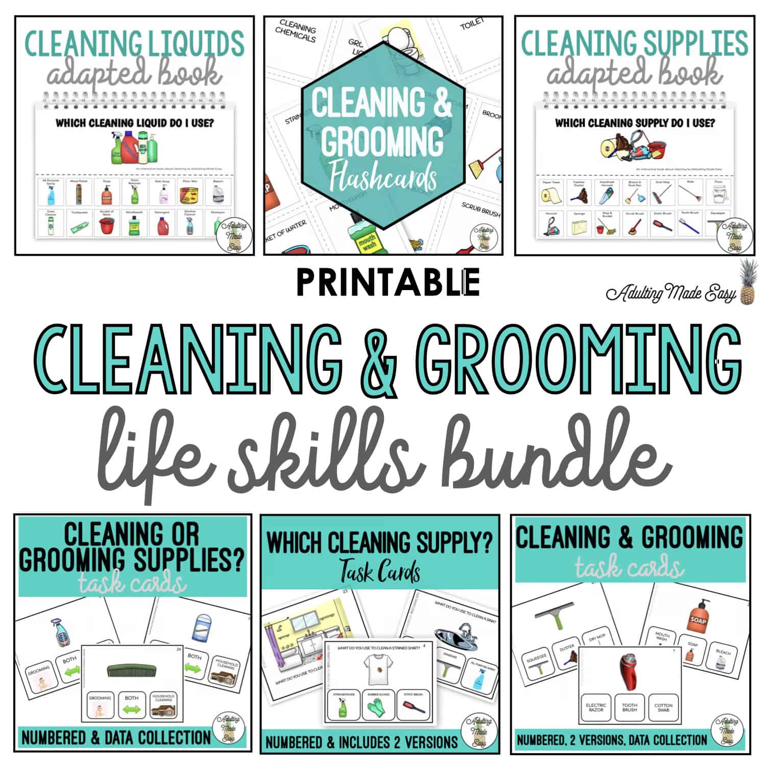 Cleaning and Grooming Life Skills BUNDLE