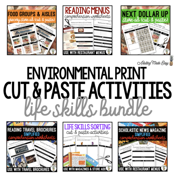 Environmental Print {Cut & Paste} Life Skills Activities BUNDLE