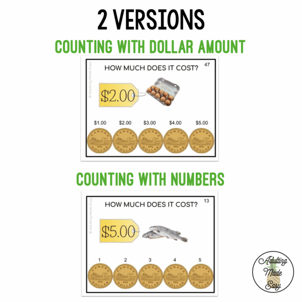 CANADIAN How Much Does It Cost? Task Cards - Image 2