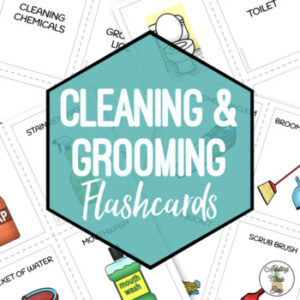 Cleaning & Grooming Flashcards & Sorting Activity