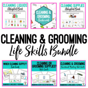 Cleaning and Grooming Life Skills BUNDLE