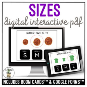 Sizes - Small Medium Large Digital Task Cards