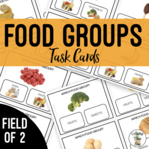 Food Groups Task Cards Field of 2