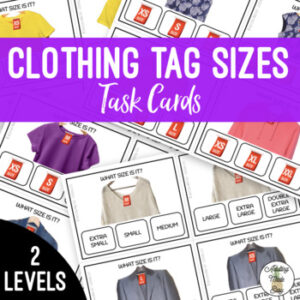 Clothing Tag Sizes Task Cards