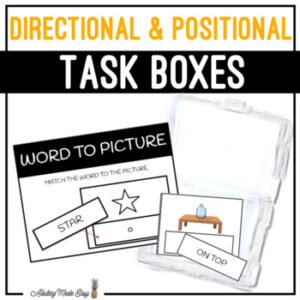 Directional & Positional Task Boxes - Word to Picture