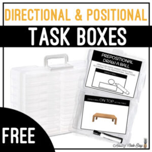 Directional & Positional Task Boxes - Prepositional Draw The Ball