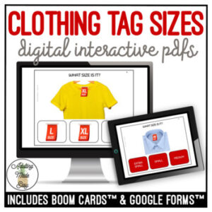 Clothing Tag Sizes Digital Task Cards