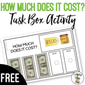 How Much Does It Cost? Work Task Box Activity FREEBIE