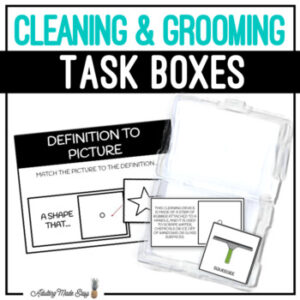 Cleaning & Grooming Task Boxes - Picture to Definition