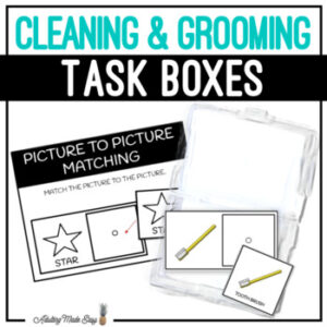 Cleaning & Grooming Task Boxes - Picture to Picture