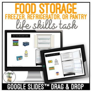 Food Storage - Freezer Refrigerator or Pantry Google Slides Activity SS