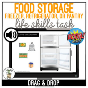 Food Storage - Freezer Refrigerator or Pantry Drag & Drop Boom Cards SS