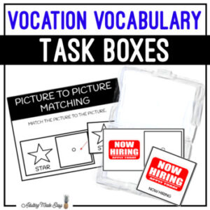 Vocation Vocabulary Task Boxes - Picture to Picture